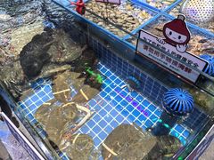 -双合园·海鲜水饺青岛菜(万佳广场店)