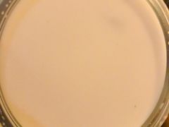 -合德记顺德双皮奶(江南西店)