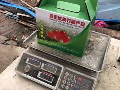 -喜杨洋草莓采摘园