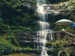 -碧峰峡风景区