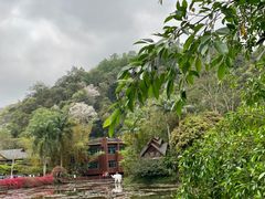-野象谷景区