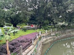 -晓港公园