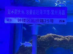 -常州海昌海洋探索馆