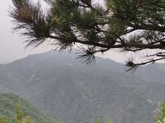 -秦岭风景区