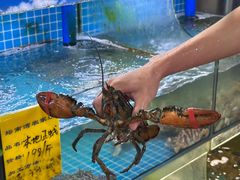 -坛南湾阿强农家乐.海鲜大排档老字号(福州地标美食店)