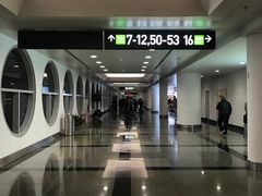 -厦门高崎国际机场-T3航站楼