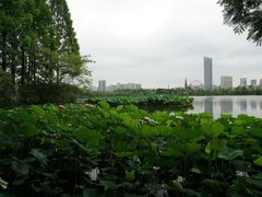 -成都南湖公园