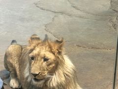 -齐齐哈尔龙沙动植物园