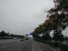 -洨河生态公园