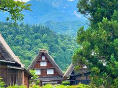 -白川乡与五箇山的合掌构造村落