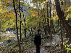-三块石国家森林公园