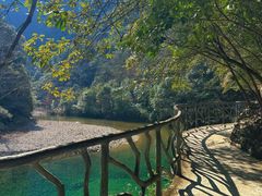 -龙湾潭国家森林公园