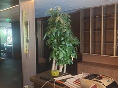 -旺顺阁·北京菜·烤鸭(大望路店)