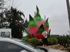-硇洲岛旅游区