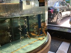 -乐在集市海鲜大排档(平潭店)