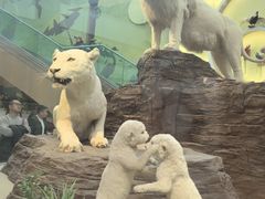 -陕西自然博物馆