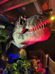 -恐龙探索乐园(磁器口店)