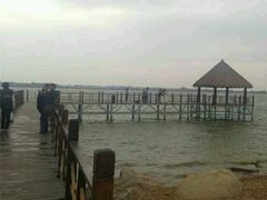 -瑶湖郊野森林公园