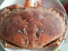 -金刚山烧烤(红旗大街店)