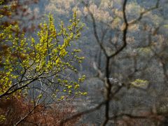 -云蒙山风景区