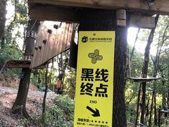 -天鹿湖森林公园