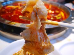 花莲-蜀滋香鲜鱼美蛙火锅(339店)