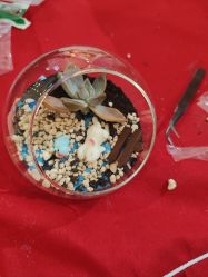 -孩子王童乐园(唐山万达广场店)