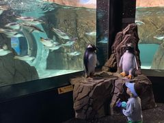 -成都浩海立方海洋公园