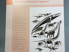 -大连自然博物馆