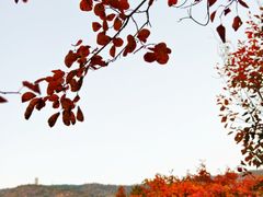 -北京十三陵国家森林公园蟒山景区