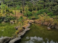 -云溪植物园