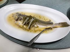 -宝燕壹号(徐汇店)