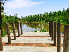 -春花秋色城市公园