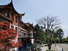 -铁山坪森林公园