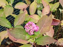 -西岭雪山大飞水景区