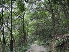 -杭州半山国家森林公园