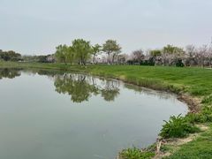 -贡湖湾湿地公园