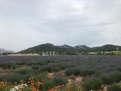 -西海岸生态观光园
