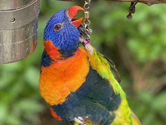 -南宫五洲植物乐园