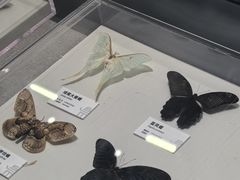 -四川大学博物馆