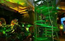 -恐龙探索乐园(磁器口店)