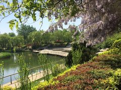 -济南植物园