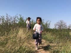 -汉景帝阳陵博物院