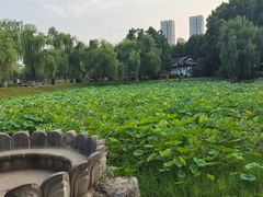 -堤角公园