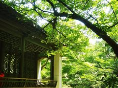 -惠山古镇·寄畅园