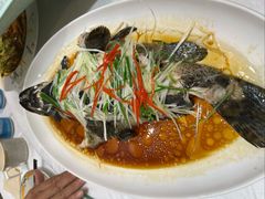 清蒸石斑鱼-伊尹活海参馆(衡山路店)