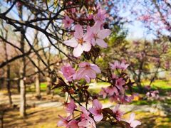 -国家植物园南园