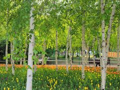 -长春公园(普阳街道)