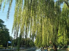 -元大都城垣遗址公园