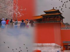 -东华门大街小区